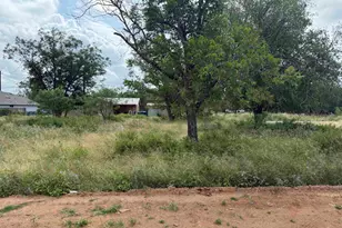 Lot 458 459 Fir Ln, Cottonwood Shores, TX 78657 - Photo 3