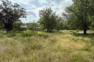 Lot 458 459 Fir Ln, Cottonwood Shores, TX 78657 - Photo 7