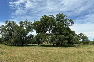 Unk County Road 330, Bertram, TX 78605 - Photo 1