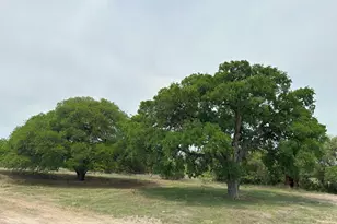 Unk County Road 330, Bertram, TX 78605 - Photo 3