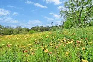 Lot 18 South Cove, Spicewood, TX 78669 - Photo 17