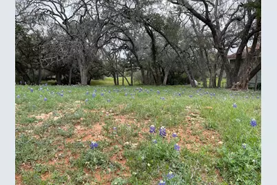 204 Crest Drive, Spicewood, TX 78669 - Photo 5
