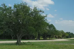 Tbd Lot 5 County Road 210, Bertram, TX 78605 - Photo 15