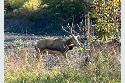 7800 County Road 210, Bertram, TX 78605 - Photo 21