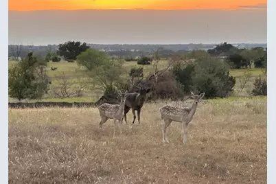 7800 County Road 210, Bertram, TX 78605 - Photo 23