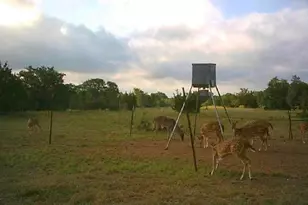 7800 Co Rd 210, Bertram, TX 78605 - Photo 25