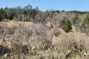 Lot 10203 Lilley Langtry, Horseshoe Bay, TX 78657 - Photo 3