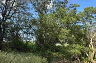 Tbd Quail Valley Dr, Marble Falls, TX 78654 - Photo 5