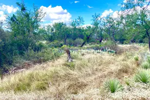 Lots 543 & 544 Hilldale, Granite Shoals, TX 78654 - Photo 3