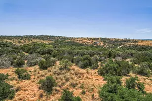 Lot 79 Big Creek Dr, Kingsland, TX 78639 - Photo 3