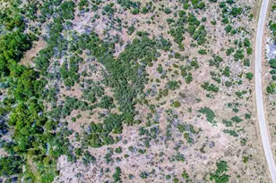 Lot 79 Big Creek Dr, Kingsland, TX 78639 - Photo 21