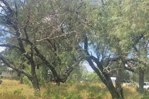 Tbd Kingsmoon Dr, Granite Shoals, TX 78654 - Photo 3