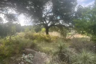 505 E Fm 501 Hwy, Cherokee, TX 76832 - Photo 29