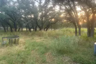 505 E Fm 501 Hwy, Cherokee, TX 76832 - Photo 17