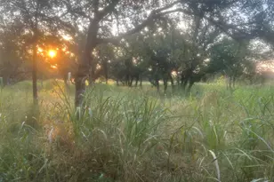 505 E Fm 501 Hwy, Cherokee, TX 76832 - Photo 11