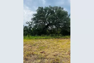 241 Lehne Loop, Buchanan Dam, TX 78609 - Photo 29