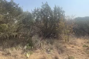 00 Radium, Burnet, TX 78611 - Photo 3