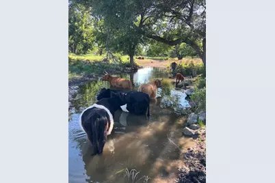 2029 Cr 200, Burnet, TX 78611 - Photo 13