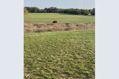 2029 Cr 200, Burnet, TX 78611 - Photo 15
