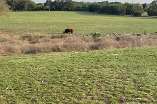 2029 Co Rd 200, Burnet, TX 78611 - Photo 15