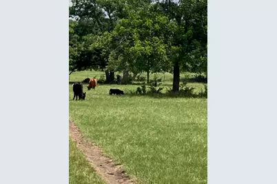 2029 Cr 200, Burnet, TX 78611 - Photo 11