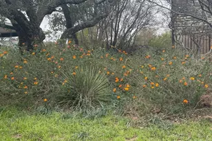 108 Cr 139C, Burnet, TX 78611 - Photo 25