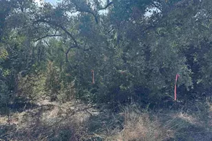 000 Cr 304 Rd, Bertram, TX 78605 - Photo 13