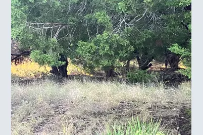 3108 Burnside Circle, Lago Vista, TX 78645 - Photo 3