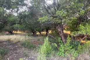 3108 Burnside Cir, Lago Vista, TX 78645 - Photo 1