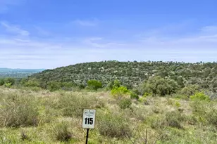 Lot 115 Big Creek Ranch (Falling Waters), Kingsland, TX 78639 - Photo 5