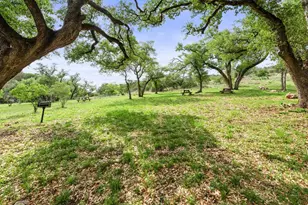 Lot 115 Big Creek Ranch (Falling Waters), Kingsland, TX 78639 - Photo 29