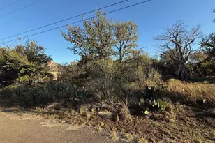 877A W Pine, Granite Shoals, TX 78654 - Photo 5