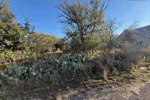 877A W Pine, Granite Shoals, TX 78654 - Photo 3