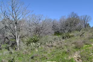 Lot 324 Lookback St, Burnet, TX 78611 - Photo 3