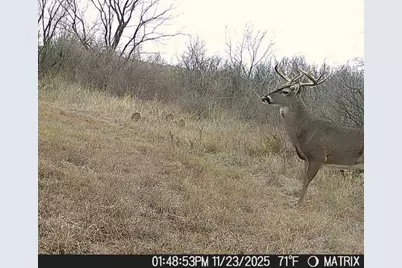 2391 W Fm 574, Mullin, TX 76864 - Photo 13