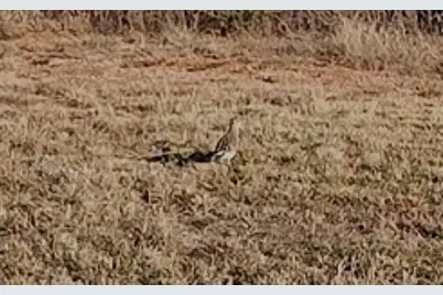 2391 W Fm 574, Mullin, TX 76864 - Photo 29