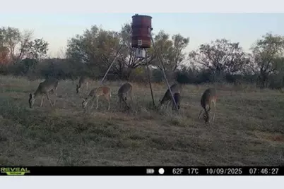 2391 W Fm 574, Mullin, TX 76864 - Photo 17