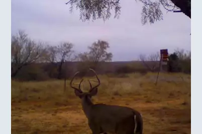 2391 W Fm 574, Mullin, TX 76864 - Photo 15