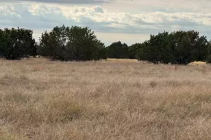 126 Acres County 204 Rd, Burnet, TX 78611 - Photo 7