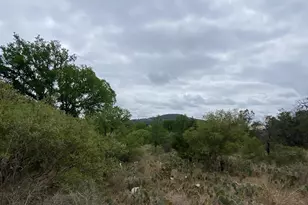 Lot 129 Cr 140, Burnet, TX 78611 - Photo 5