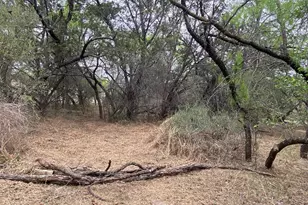 Lot 129 Cr 140, Burnet, TX 78611 - Photo 7