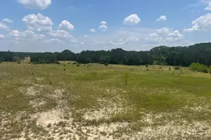 Mourning Dove Ln, Lampasas, TX 76550 - Photo 9