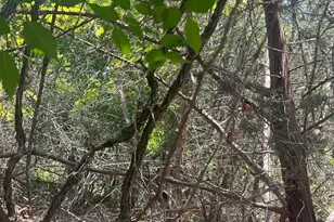 Mourning Dove Ln, Lampasas, TX 76550 - Photo 7