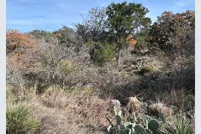 697 698 Castlehigh, Granite Shoals, TX 78654 - Photo 5