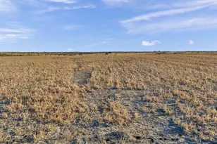 11064 Co Rd 210, Bertram, TX 78605 - Photo 19