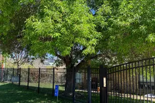 125 Winding Way, Sunrise Beach, TX 78643 - Photo 21