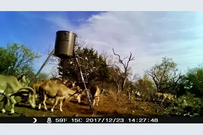 125 W Granite Oaks Drive, Burnet, TX 78611 - Photo 25