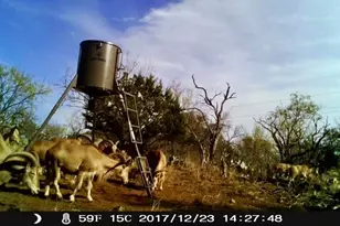 125 W Granite Oaks Dr, Burnet, TX 78611 - Photo 25