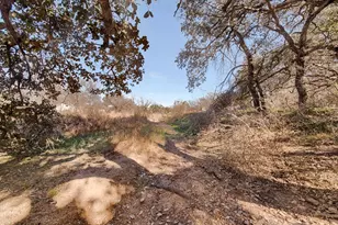 330 Sunset Dr, Marble Falls, TX 78654 - Photo 9