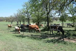 2116 Co Rd 403, Marble Falls, TX 78654 - Photo 19